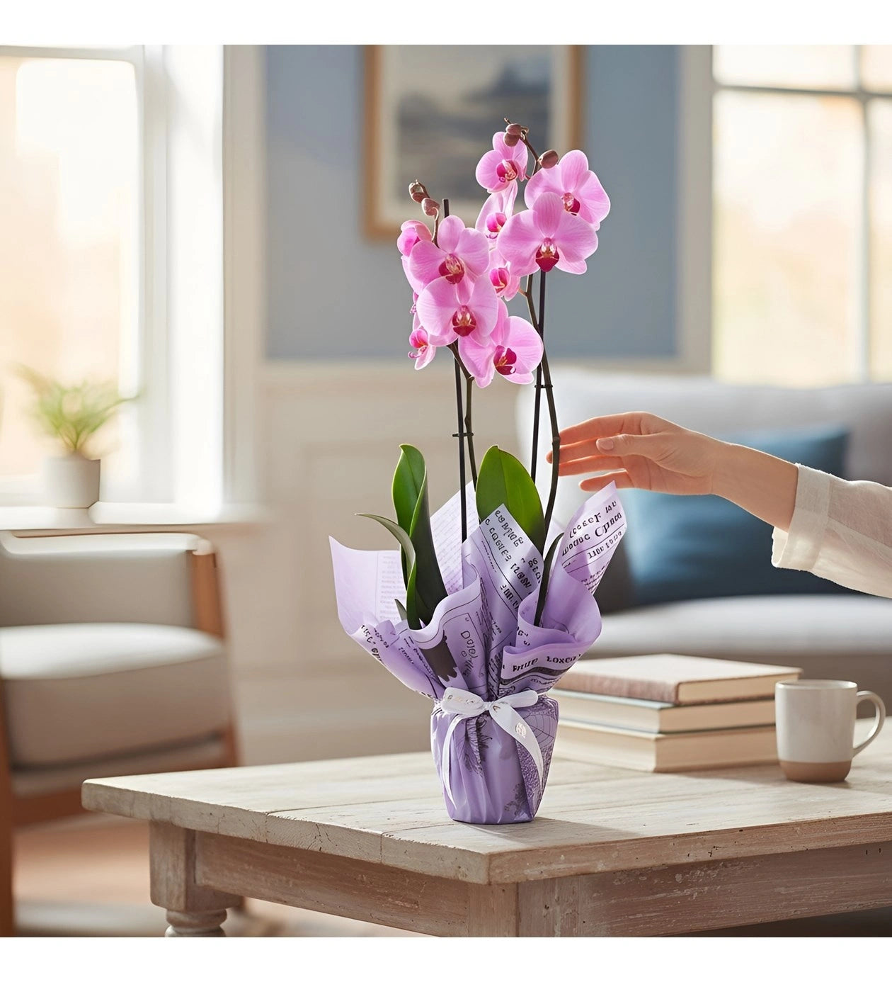 Pembe Orkide – Sakura Bloom (Premium Seri)